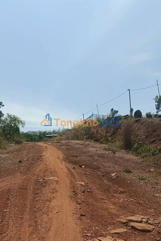 Bán Gấp Đất Vườn 12000m² Đồng Phú, Bình Phước - Giá Đầu Tư 1.1 Tỷ