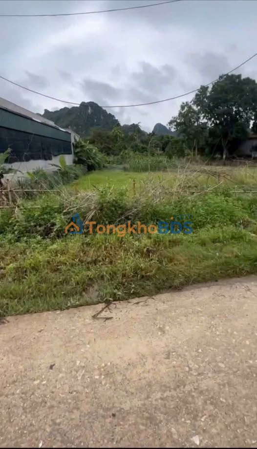 Đất nền Gia Lâm Nho Quan 100m² 6xx triệu - Sổ đỏ chính chủ