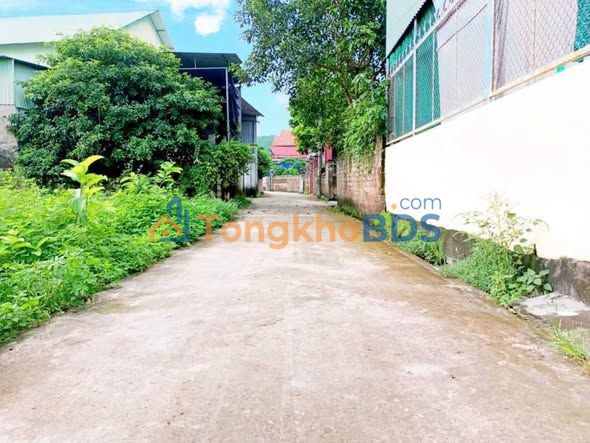 Đất nền sổ đỏ 64m² đường thông ô tô - 799 triệu tại Thủy Nguyên, Hải Phòng