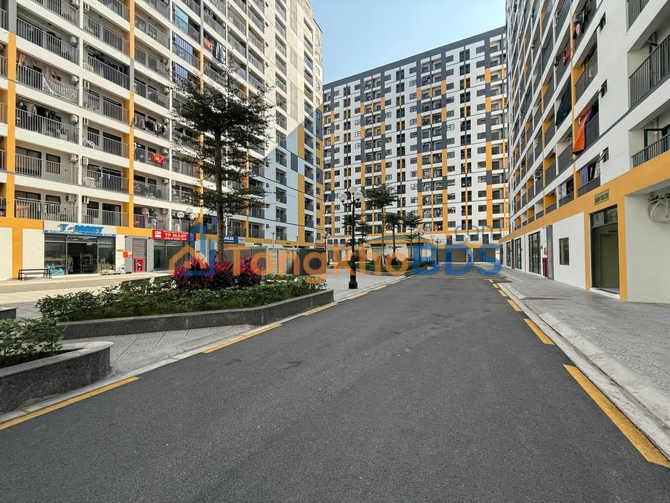 Cho thuê căn góc 2PN Evergreen Tràng Duệ 54.95m² - Giá tốt