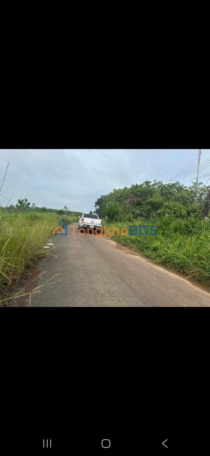 Bán Đất Mặt Tiền Trục Chính Anh Thư, Biên Hòa 600m² - Giá 1 Tỷ