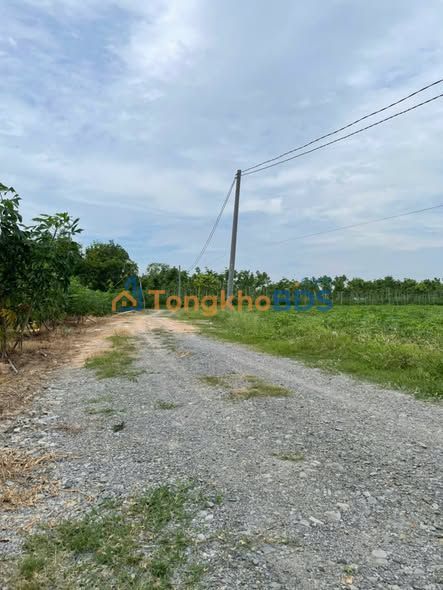 Bán Đất Vườn 1.7ha Huyện Châu Thành, Tây Ninh - Sổ Hồng Rõ Ràng