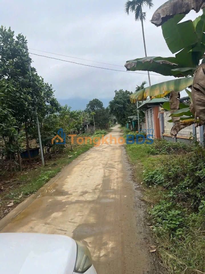 Bán đất Hưng Long, Yên Lập, Phú Thọ 208m² - Sổ đỏ sẵn sang