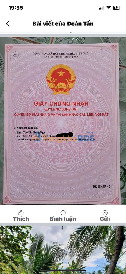 Bán 1.4ha Đất Vườn Dừa Bến Tre - Sẵn Thu Hoạch, Giá 1.4 Tỷ/Công