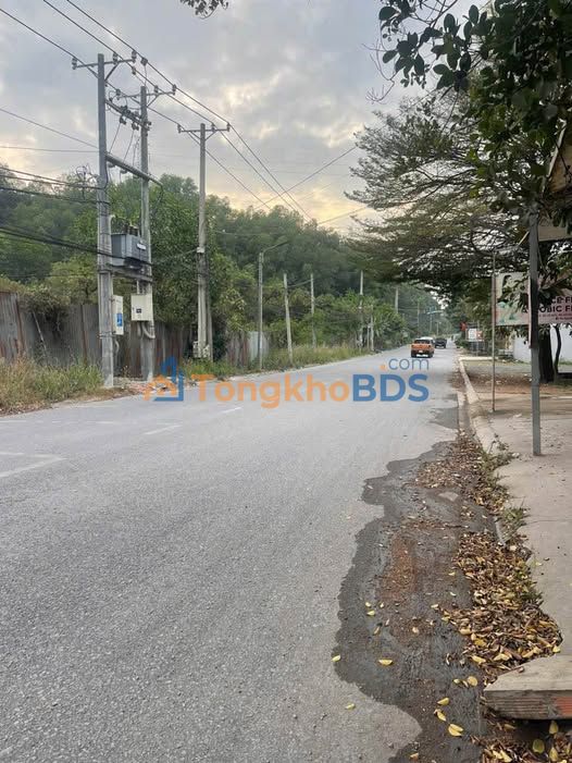 Đất SKC 5000m² Trảng Bom - Sẵn Sàng Xây Xưởng, Giá 12.99 Tỷ