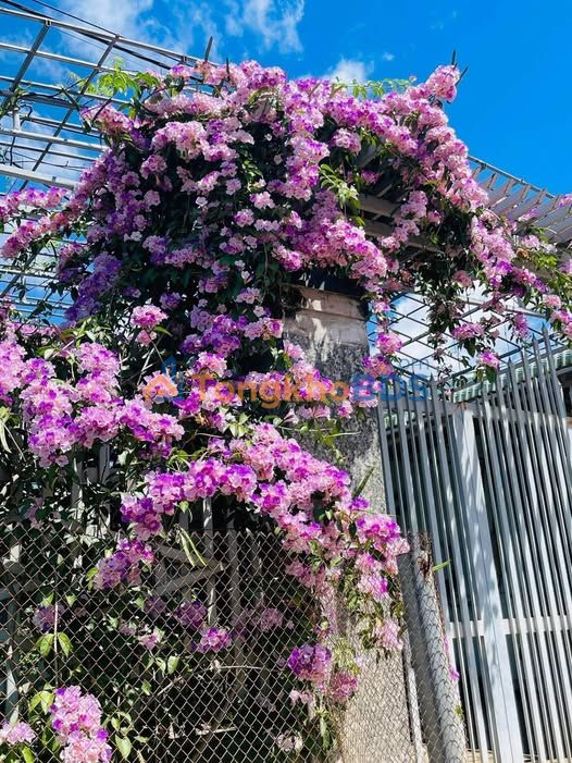 Nhà 150m² Xã Sa Nghĩa, Kon Tum - Giá 1.15 Tỷ, Dân Cư Đông Đúc