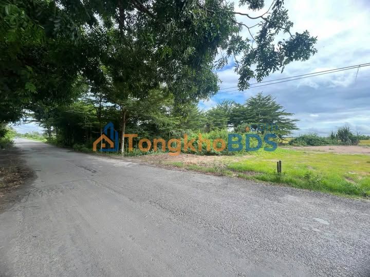 Bán đất mặt tiền 380m² đường Thanh Niên, Long Xuyên - Giá 1.4 tỷ