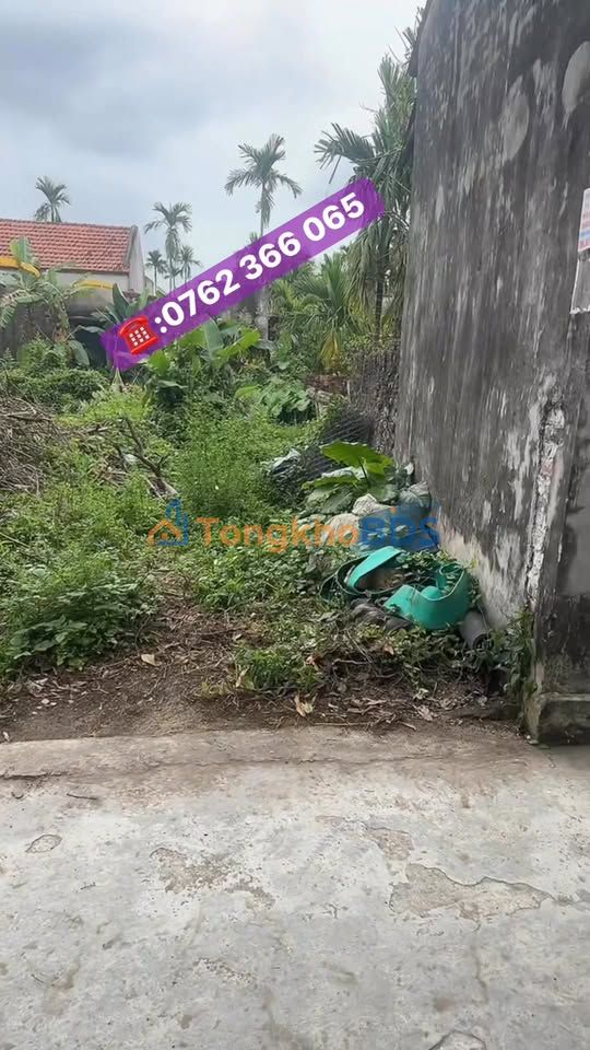 Đất thổ cư 100m² Kim Động, Hưng Yên - Giá 1 tỷ, ô tô vào tận nơi