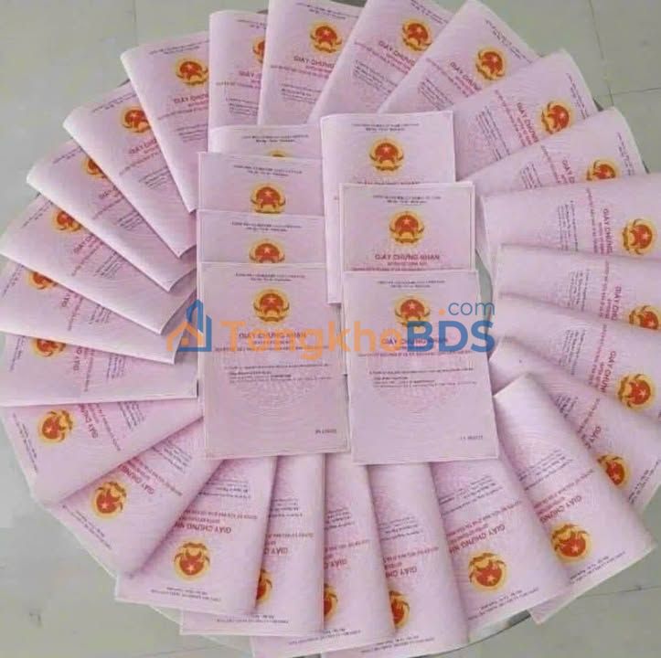 Đất nền Bình Phước 250m² Sổ hồng riêng - Đầu tư an toàn mùa lạm phát