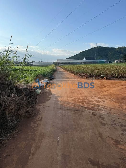 Bán Đất Nền Đơn Dương 2100m² - Mặt Đường Bê Tông, Giá 2 Tỷ