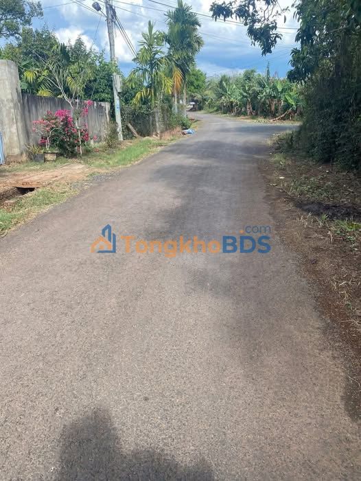 Đất nông nghiệp Buôn Eana 1.260m² - Đầu tư dài hạn