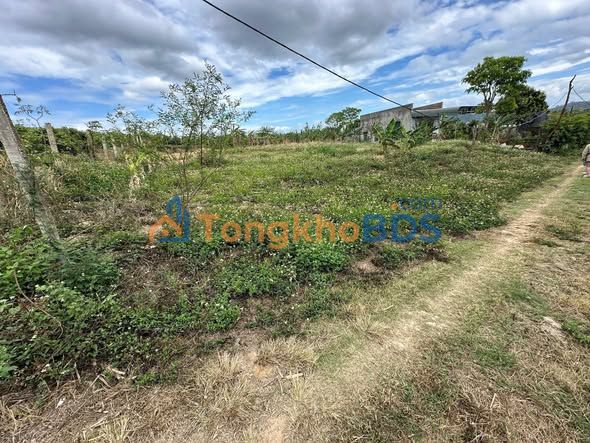 Đất nền Buôn Trấp 1,4 sào/1,65 tỷ - Đường ô tô thoải mái