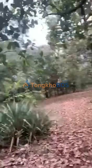 Đất Vườn Tiêu 1.9ha Xã Suối Cát, Xuân Lộc - Giá Tốt