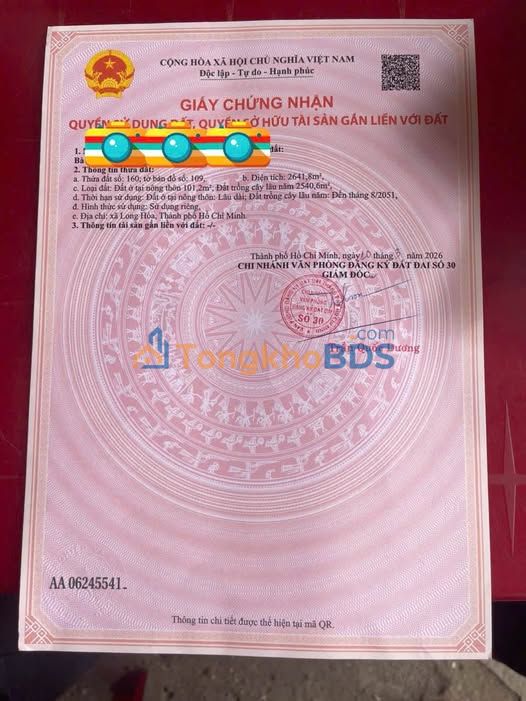 Đất Vườn Cần Giờ 2600m² Giá 1.2 Tỷ - Đầu Tư Sinh Lời Hấp Dẫn