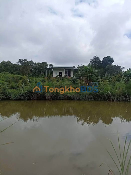 Đất Gia Nghĩa 7 sào 2.25 tỷ - Sổ hồng chính chủ