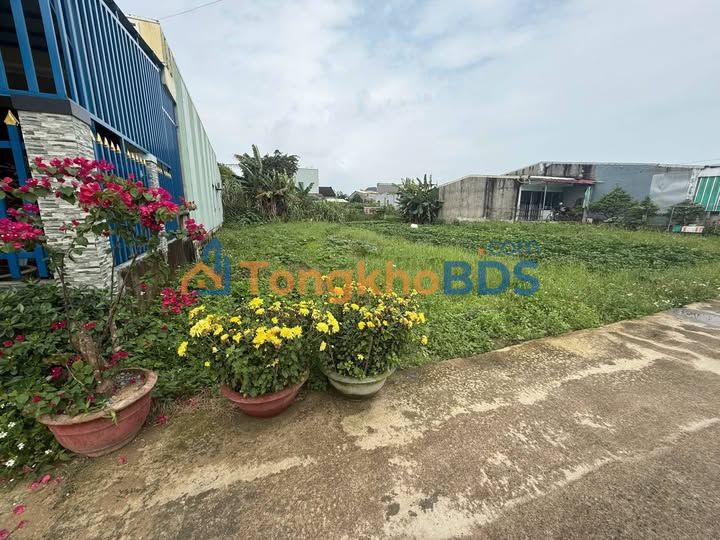 Bán Gấp Đất Vàng 125m² Sơn Trà - Sát Hồ Nghinh Nối Dài