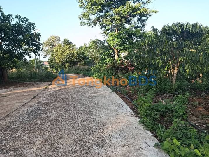 Đất nền Xã Đắk Nia, Gia Nghĩa 525m² giá 530 triệu - Sổ đỏ chính chủ