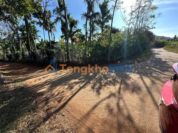 Farm 20.000m² Ea Kao - Trái Cây, Cà Phê, Sẵn Nhà - 4.3 Tỷ