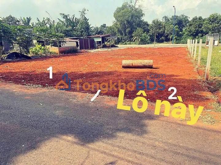 Bán Gấp Đất Mặt Tiền 127.5m² Đường Hoà Long, Bà Rịa - Chỉ 1.63 Tỷ