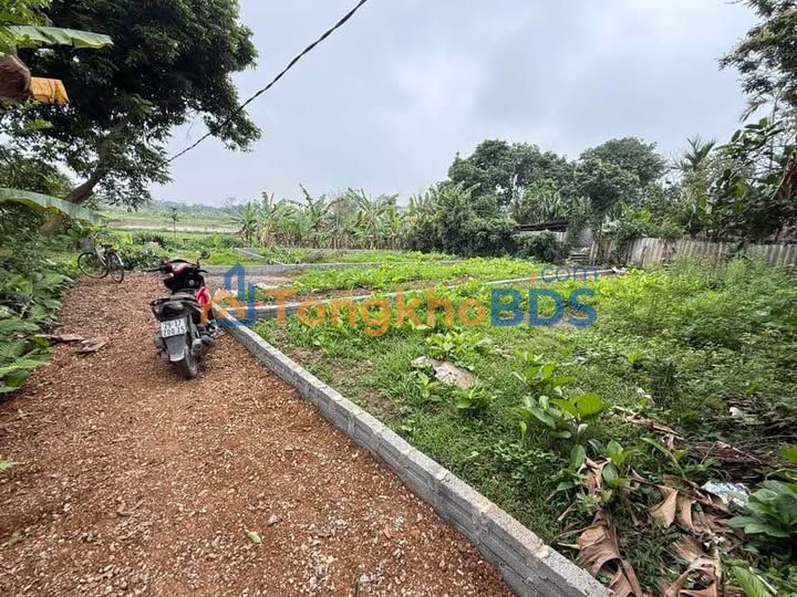 Bán Gấp 3 Lô Đất F0 Thanh Oai, Hà Nội - 87-100m² - Sổ Đỏ Sẵn Sàng