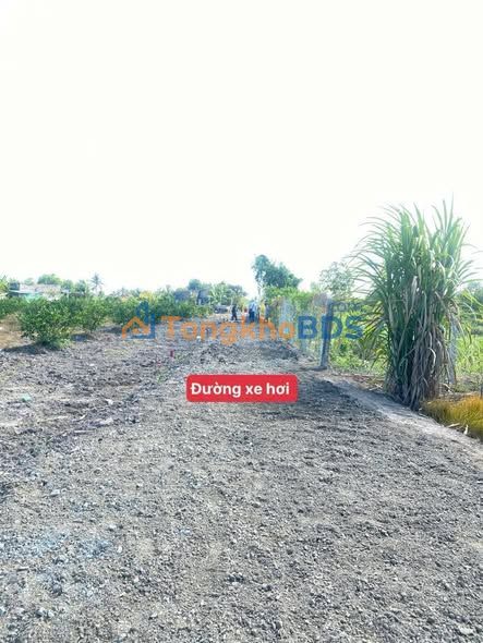 Đất Nền 1000m² Bến Lức, Long An - Sổ Đỏ, Sát Vành Đai 4, Giá 1.199 Tỷ