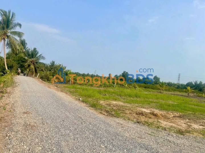 Đất vườn Sunny Farm Thạnh Lợi 1.000m² 750 triệu - Nghỉ dưỡng xanh