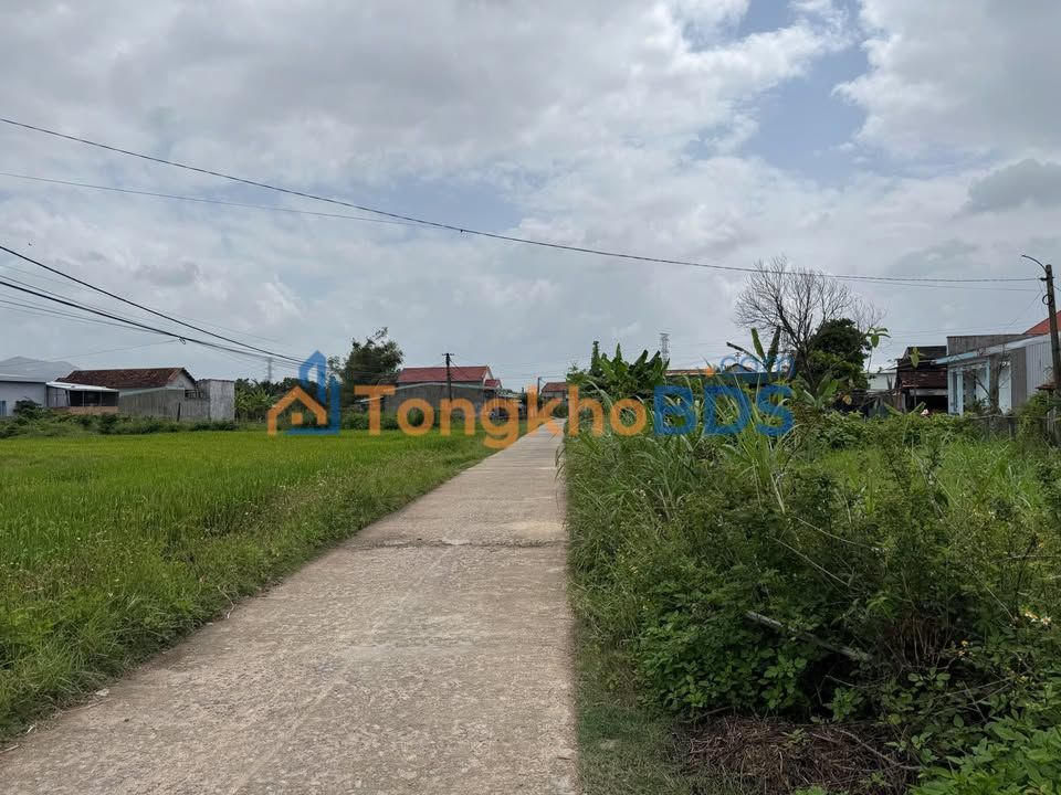 Đất Nền 100m² Xã Quy Hội, Bình Định - Giá Tốt Chỉ Từ 3xx Triệu