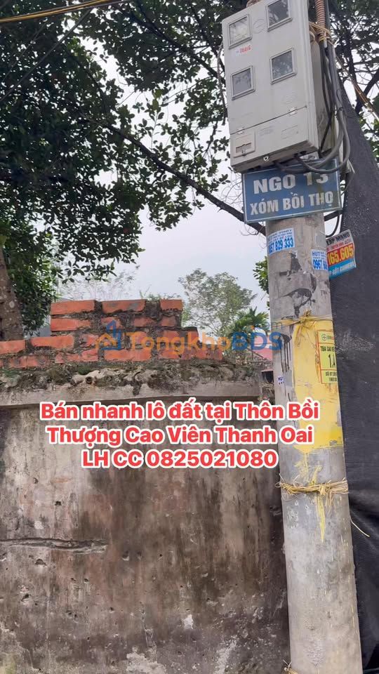 Bán đất 100m² Cao Viên, Thanh Oai - Sổ đỏ sẵn, giá đầu tư tốt