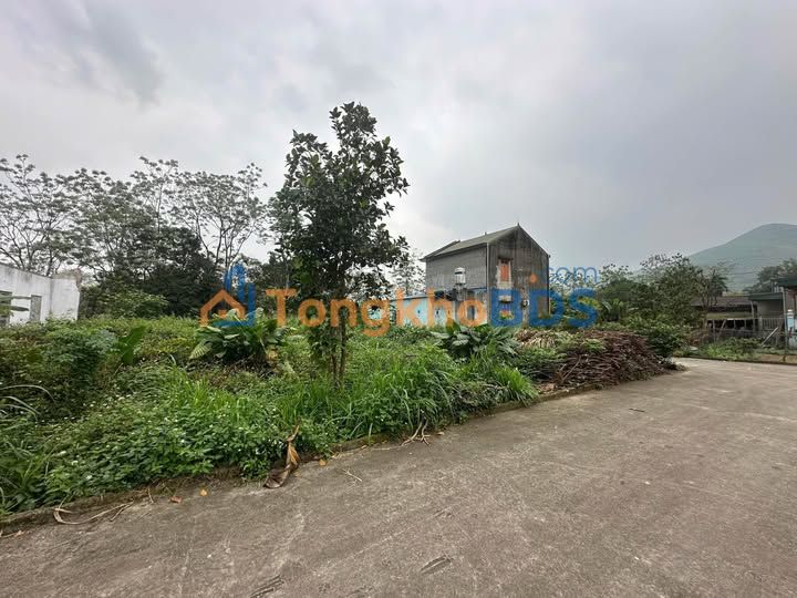 Đất nền Tân Cương, Thái Nguyên 95m² - Sổ hồng sẵn, đường ô tô tải