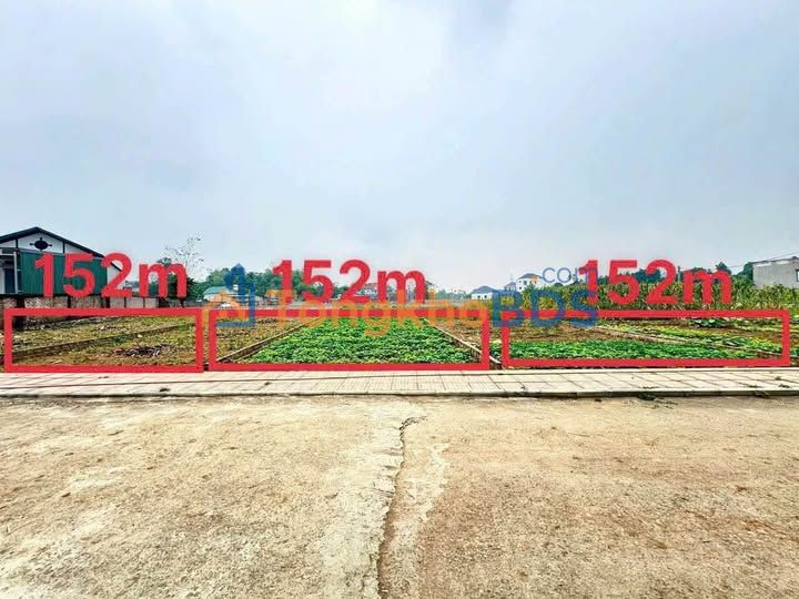 Đất Nền Lương Sơn - Hòa Bình: 152m² Thổ Cư, Giá Hơn 1 Tỷ, Sát KCN