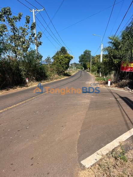 Đất Xuân Tây Cẩm Mỹ 1479m² 3.875 tỷ - Sổ hồng rõ ràng