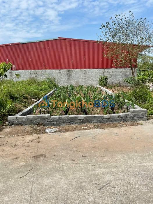 Đất Nền Đỗ Xá Thường Tín 77m² - Mặt Tiền Rộng, Ô Tô Tránh