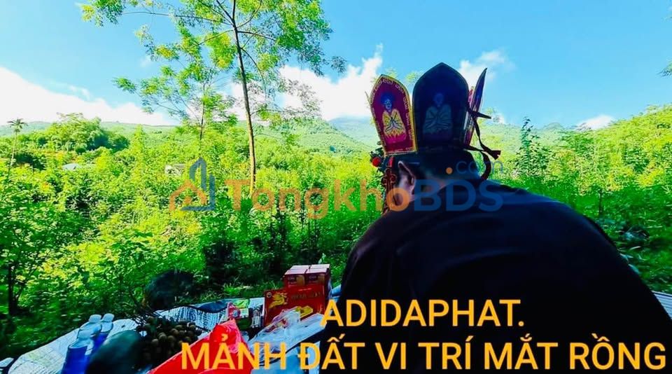 Bán Đất Nền 1500m² Xã Phú Thọ, Kim Bôi, Hòa Bình - Giá Thỏa Thuận