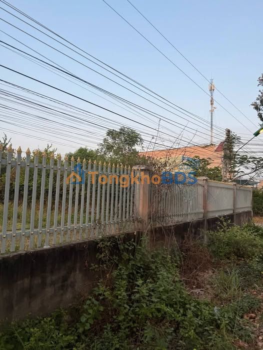 Bán đất 124m² đường Ngô Đức Tốn, Gia Lâm - Sổ đỏ chính chủ, giá 1.1 tỷ