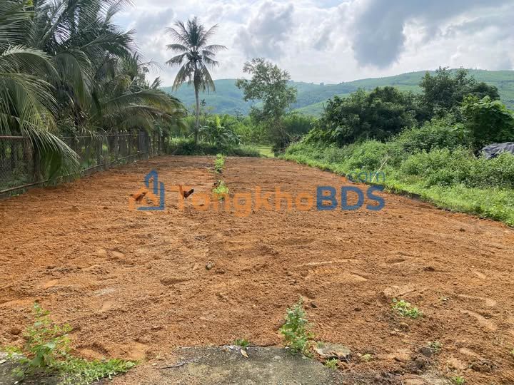 Đất Hòa Tiến Đà Nẵng 230m² 800 triệu - Sổ đỏ chính chủ