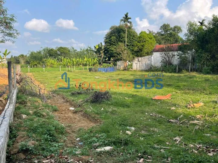 Đất vườn Hòa Nhơn Hòa Vang 1000m² 5 tỷ - Sổ hồng chính chủ