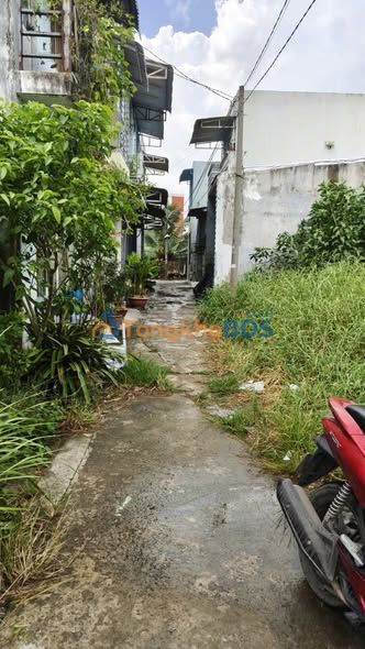 Nhà Vườn 4x11.3m Sổ Hồng Riêng 3PN - Cần Giuộc, Long An