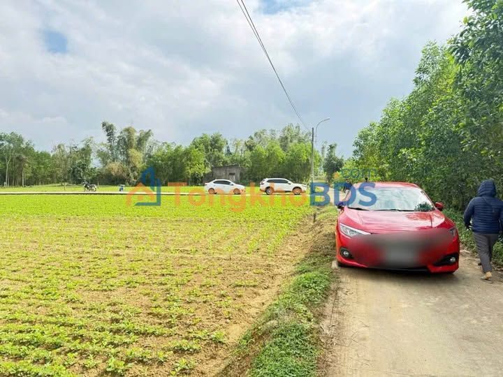 Đất Vườn 1900m² Hòa Ninh, Đà Nẵng - Sẵn Sàng Làm Trang Trại