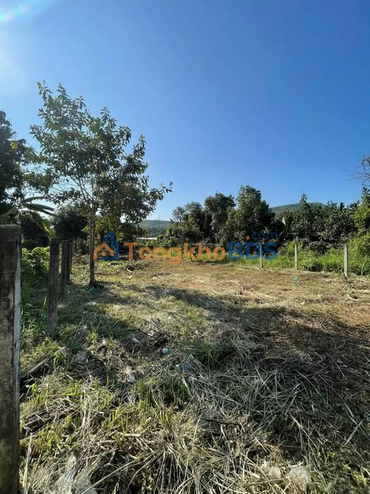 Đất nền Diên Lạc (170m²) - Sổ hồng sẵn, giá 1.28 tỷ - Gần chợ, trường học