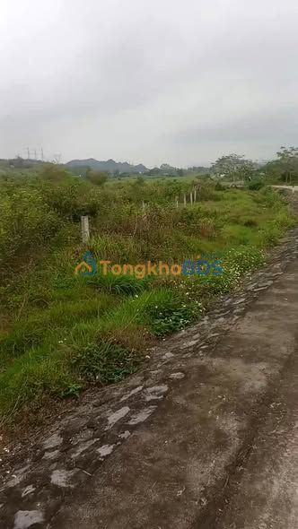 Đất Vườn Ninh Bình 2ha - Mặt Đường 100m, Sổ Đỏ Rõ Ràng