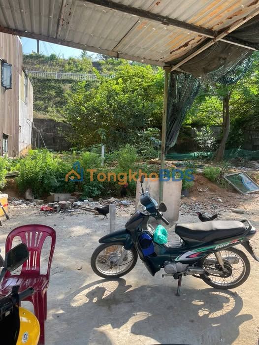 Bán đất Tôn Đản Cẩm Lệ 81m² - Sổ đỏ chính chủ, giá 2.25 tỷ