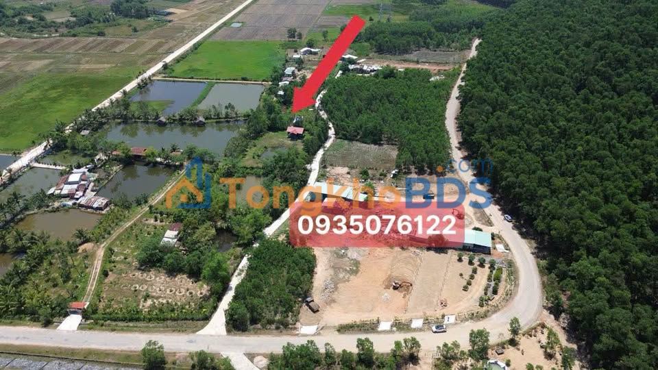 Bán đất Hòa Phú, Hòa Vang 2400m² - Vườn trái cây chill, ô tô tới nơi