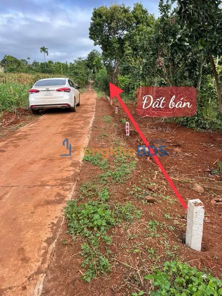 Đất Nền Sẵn Thổ Cư 250m² Ea Ning, Đắk Lắk - Giá Chỉ 179 Triệu