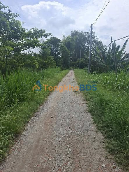 Đất nền Chợ Mới Long Giang 46 công 8.74 tỷ Sổ đỏ chính chủ