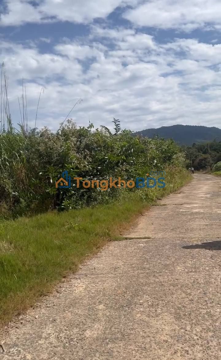 Bán gấp đất tặng nhà yến 1500m² mặt đường bê tông, Xã Đạ Nhim, Lạc Dương