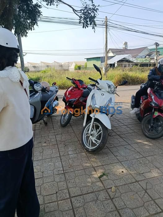 Đất Vườn Đà Lạt 1000m² Mặt Tiền Lê Hồng Phong - Giá 10.5 Tỷ (Giảm Sâu)