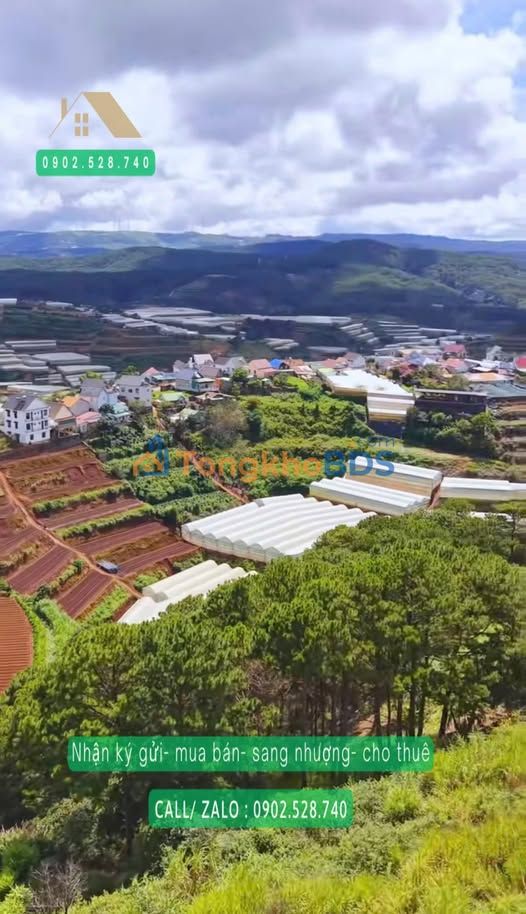 Đất nông nghiệp Xuân Thọ Đà Lạt 3.000m² 15 triệu - Sinh thái xanh