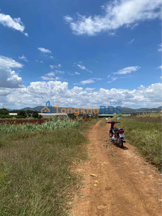 Bán Đất Vườn Đơn Dương 3000m² - View Đồng DaLat Milk, Giá Tốt