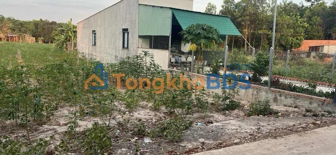 Đất nền Bàu Bàng 257m² - Thổ cư 100m² - Xây dựng tự do, tiềm năng sinh lời cao