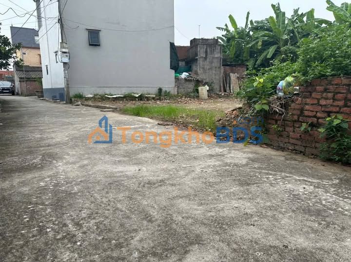 Đất nền Thái Thụy, Thái Bình - 71.5m² Sổ đỏ trao tay, ô tô thông thoáng